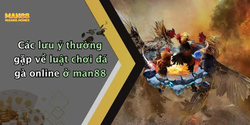 Các lưu ý thường gặp về luật chơi đá gà online ở man88