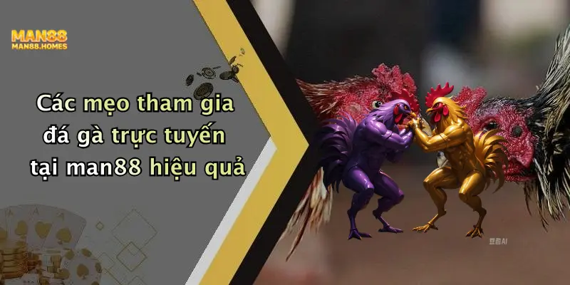 Các mẹo tham gia đá gà trực tuyến tại man88 hiệu quả