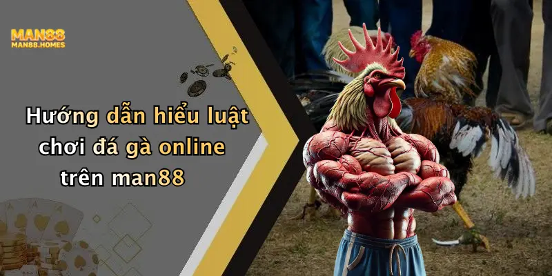 Hướng dẫn hiểu luật chơi đá gà online trên man88