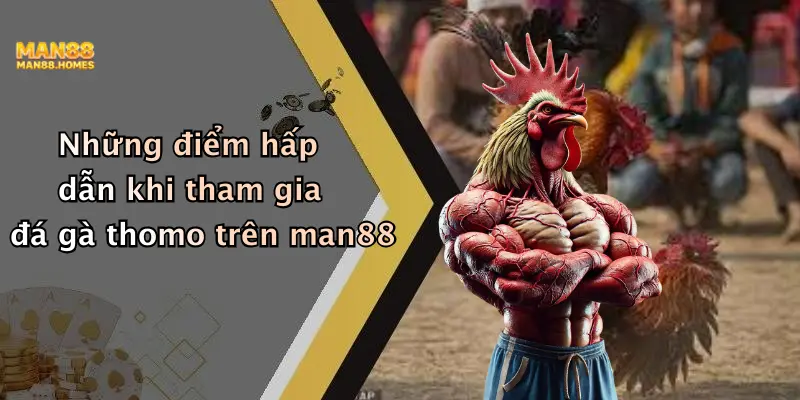 Những điểm hấp dẫn khi tham gia đá gà thomo trên man88