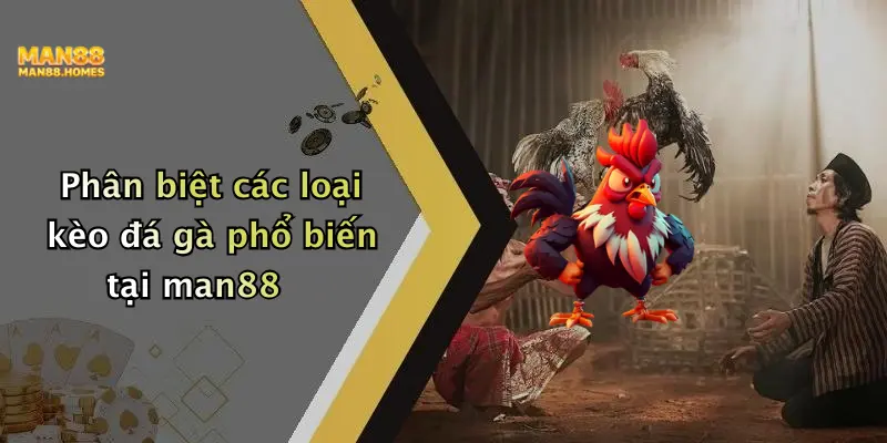 Phân biệt các loại kèo đá gà phổ biến tại man88