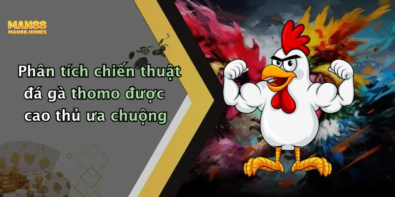 Phân tích chiến thuật đá gà thomo được cao thủ ưa chuộng