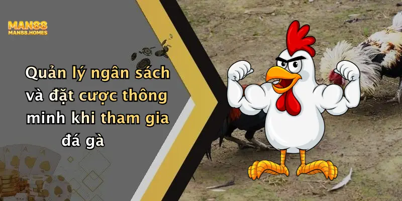 Quản lý ngân sách và đặt cược thông minh khi tham gia đá gà