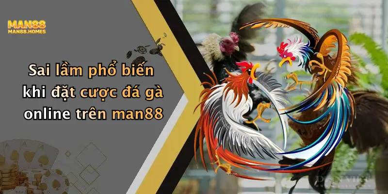 Sai lầm phổ biến khi đặt cược đá gà online trên man88